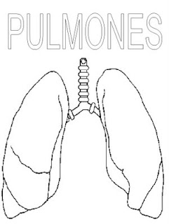 Hipertensión pulmonar e hipertensión portal